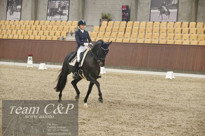 Blue Hors
7års dressur kvl
Nøgleord: elverhøjs raccolto;marianne helgstrand