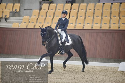 Blue Hors
7års dressur kvl
Nøgleord: elverhøjs raccolto;marianne helgstrand