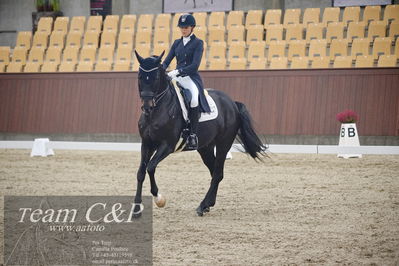 Blue Hors
7års dressur kvl
Nøgleord: elverhøjs raccolto;marianne helgstrand