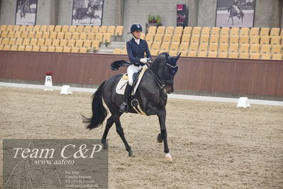 Blue Hors
7års dressur kvl
Nøgleord: elverhøjs raccolto;marianne helgstrand