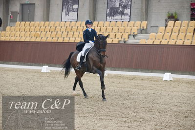 Blue Hors
7års dressur kvl
Nøgleord: elliot julianelyst;tania m joensen