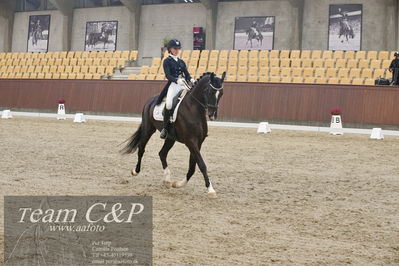 Blue Hors
7års dressur kvl
Nøgleord: sheik eg;nadja therkelsen
