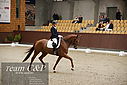 Filnavn=PT9_8757.JPG
Filstørrelse=410KiB
Dimensioner=1224x817
Dato for tilføjelse=%18 %403, %2021 PT9_8757.JPG
