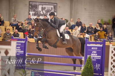 Blue Hors
6års finale spring
Nøgleord: evolution ask dwb;karen  møller rohde