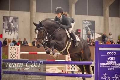 Blue Hors
6års finale spring
Nøgleord: cassado ask;karen  møller rohde