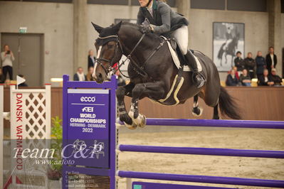 Blue Hors
6års finale spring
Nøgleord: cassado ask;karen møller rohde