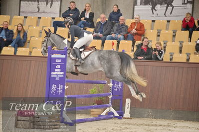 Blue Hors
4års kvalifikation spring
Nøgleord: green bean 13;zelina hulehoej