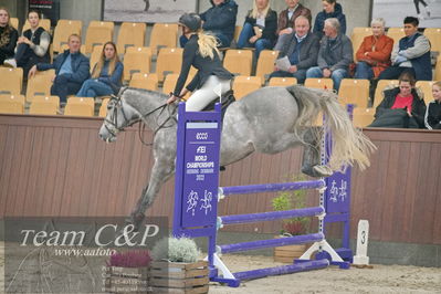 Blue Hors
4års kvalifikation spring
Nøgleord: calvin kn;katharine nielsen
