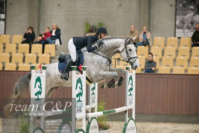 Blue Hors
4års kvalifikation spring
Nøgleord: scirocco at;alexia tsangaratos