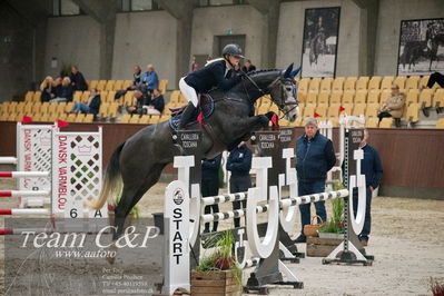 Blue Hors
4års kvalifikation spring
Nøgleord: coletta;anne-kristine rie truelsen