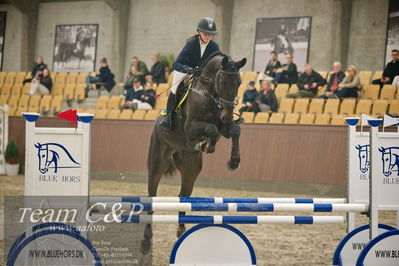 Blue Hors
4års kvalifikation spring
Nøgleord: d&#039;artagnan alfarvad z;evelyn sint