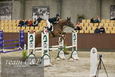 Blue Hors
4års kvalifikation spring
Nøgleord: rimrock van de v&dstables;emilie louise weilaby