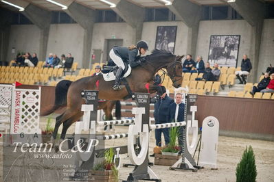 Blue Hors
5års kvalifikation spring
Nøgleord: evolution ask dwb;karen  møller rohde