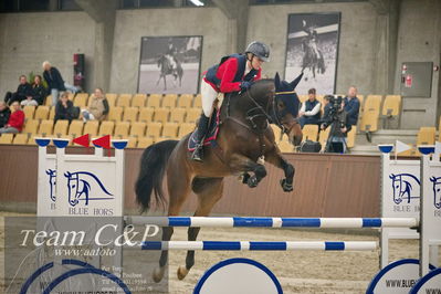 Blue Hors
5års kvalifikation spring
Nøgleord: early f;rikke hasstrup kristensen