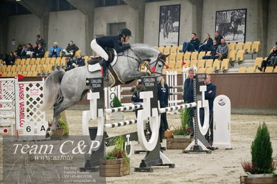 Blue Hors
5års kvalifikation spring
Nøgleord: berntstein;renee ulvsberg