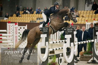 Blue Hors
5års kvalifikation spring
Nøgleord: peri;michela b frederiksen