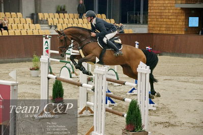 Blue Hors
6års springheste 1.kvl
Nøgleord: calgrafi dwb;gitte dahl