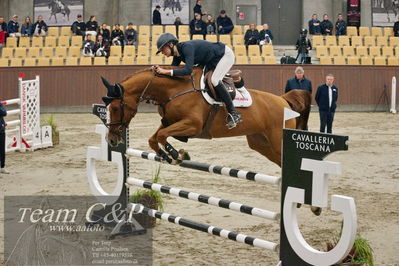 Blue Hors
6års springheste 1.kvl
Nøgleord: lerskovs ballerina;caroline refhoff pedersen