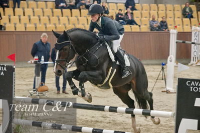 Blue Hors
6års springheste 1.kvl
Nøgleord: karen  møller rohde;cassado ask