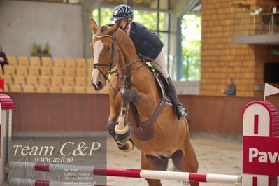 Blue Hors
4 års kvl spring
Nøgleord: heingårdens paris;kamilla grauff albre ktsen