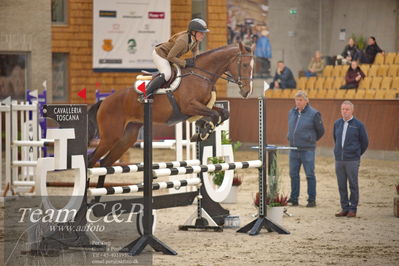 Blue Hors
4 års kvl spring
Nøgleord: galilana kh;anee keller