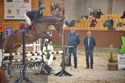 Blue Hors
4 års kvl spring
Nøgleord: maestro vg;camilla lund-pedersen