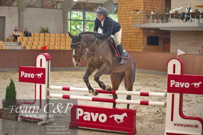 Blue Hors
4 års kvl spring
Nøgleord: maestro vg;camilla lund-pedersen