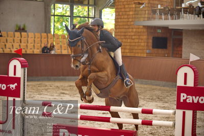 Blue Hors
4 års kvl spring
Nøgleord: grimble;nadia  siesbye suhr