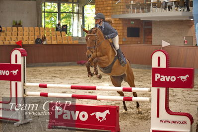 Blue Hors
4 års kvl spring
Nøgleord: vega ask;frida munk lassen