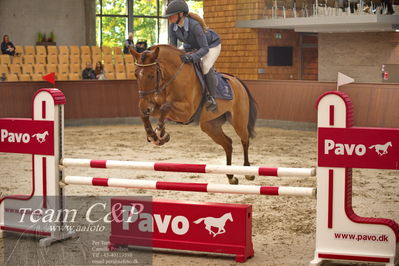 Blue Hors
4 års kvl spring
Nøgleord: vega ask;frida munk lassen