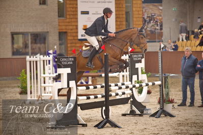 Blue Hors
4 års kvl spring
Nøgleord: eldini  dwb;thomas kolborg johansen