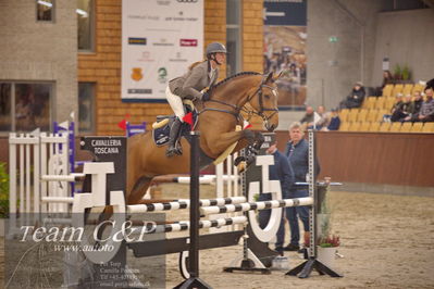 Blue Hors
4 års kvl spring
Nøgleord: egelunds babette;gitte dahl