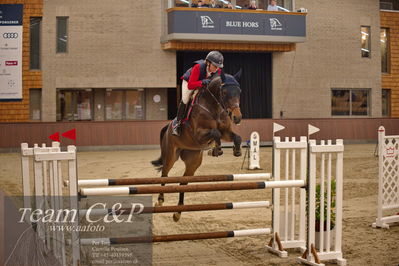 Blue Hors
spring 5års kvl 2
Nøgleord: early f;rikke hasstrup kristensen