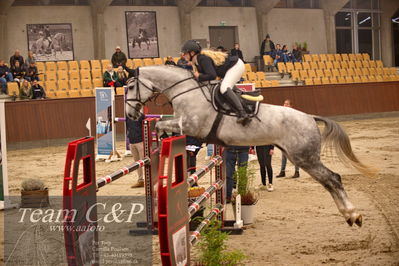 Blue Hors
spring 5års kvl 2
Nøgleord: passion sejh;julie rask