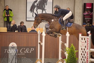 Blue Hors
spring 5års kvl 2
Nøgleord: ullerup's clifford;iben ulvsbjerg toft