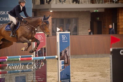 Blue Hors
spring 5års kvl 2
Nøgleord: ullerup's clifford;iben ulvsbjerg toft