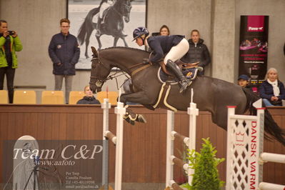 Blue Hors
spring 5års kvl 2
Nøgleord: jo's roberto;kamilla grauff albre ktsen