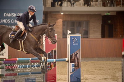 Blue Hors
spring 5års kvl 2
Nøgleord: jo's roberto;kamilla grauff albre ktsen