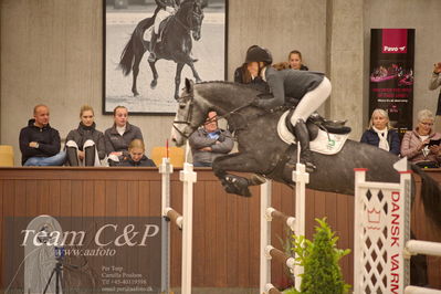 Blue Hors
spring 5års kvl 2
Nøgleord: figeac ask;karen  møller rohde