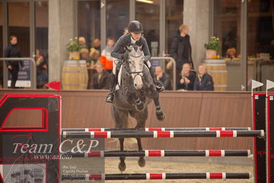 Blue Hors
spring 5års kvl 2
Nøgleord: figeac ask;karen  møller rohde