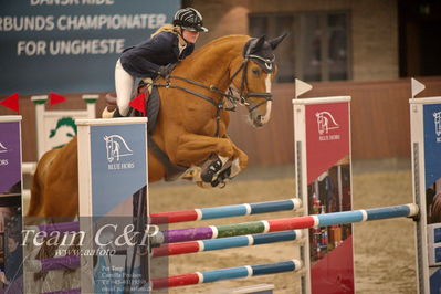Blue Hors
spring 5års kvl 2
Nøgleord: quilan;catrine with hansen