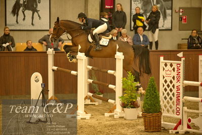 Blue Hors
spring 5års kvl 2
Nøgleord: charlotte h;maria bjørnkjær bennedsgaard
