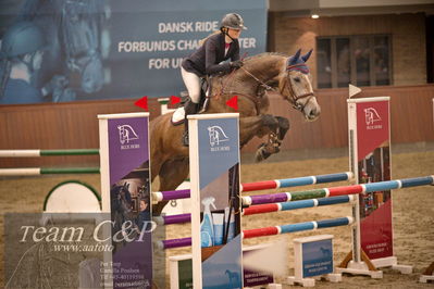 Blue Hors
spring 5års kvl 2
Nøgleord: peri;michela b frederiksen