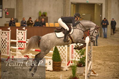 Blue Hors
spring 5års kvl 2
Nøgleord: berntstein;renee ulvsberg