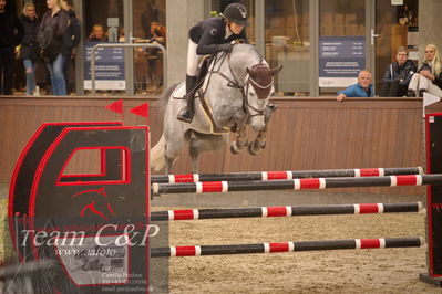 Blue Hors
spring 5års kvl 2
Nøgleord: berntstein;renee ulvsberg