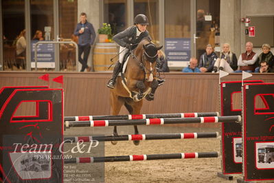 Blue Hors
spring 5års kvl 2
Nøgleord: farino ask;karen  møller rohde