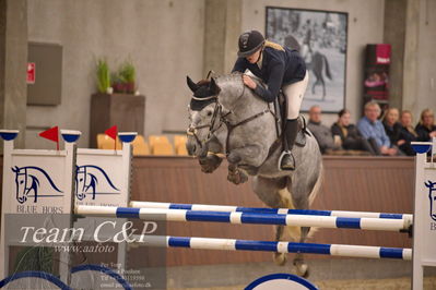 Blue Hors
spring 6års 2.kvl
Nøgleord: corbeau ter goes z;sarah wheler