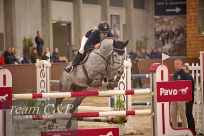 Blue Hors
spring 6års 2.kvl
Nøgleord: corbeau ter goes z;sarah wheler