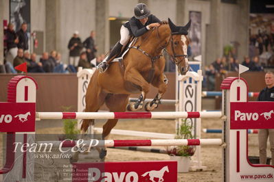 Blue Hors
spring 6års 2.kvl
Nøgleord: caroline refhoff pedersen;lerskovs  balouna