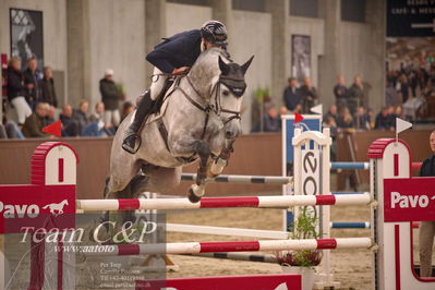 Blue Hors
spring 6års 2.kvl
Nøgleord: acob theodor schmidt;syvhøjegårds unforgetable s dwb